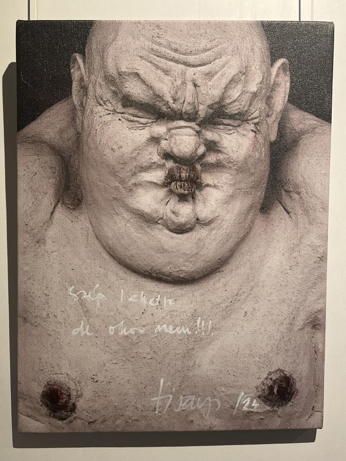 Virányi Elvira: Szép lehetsz, de okos nem