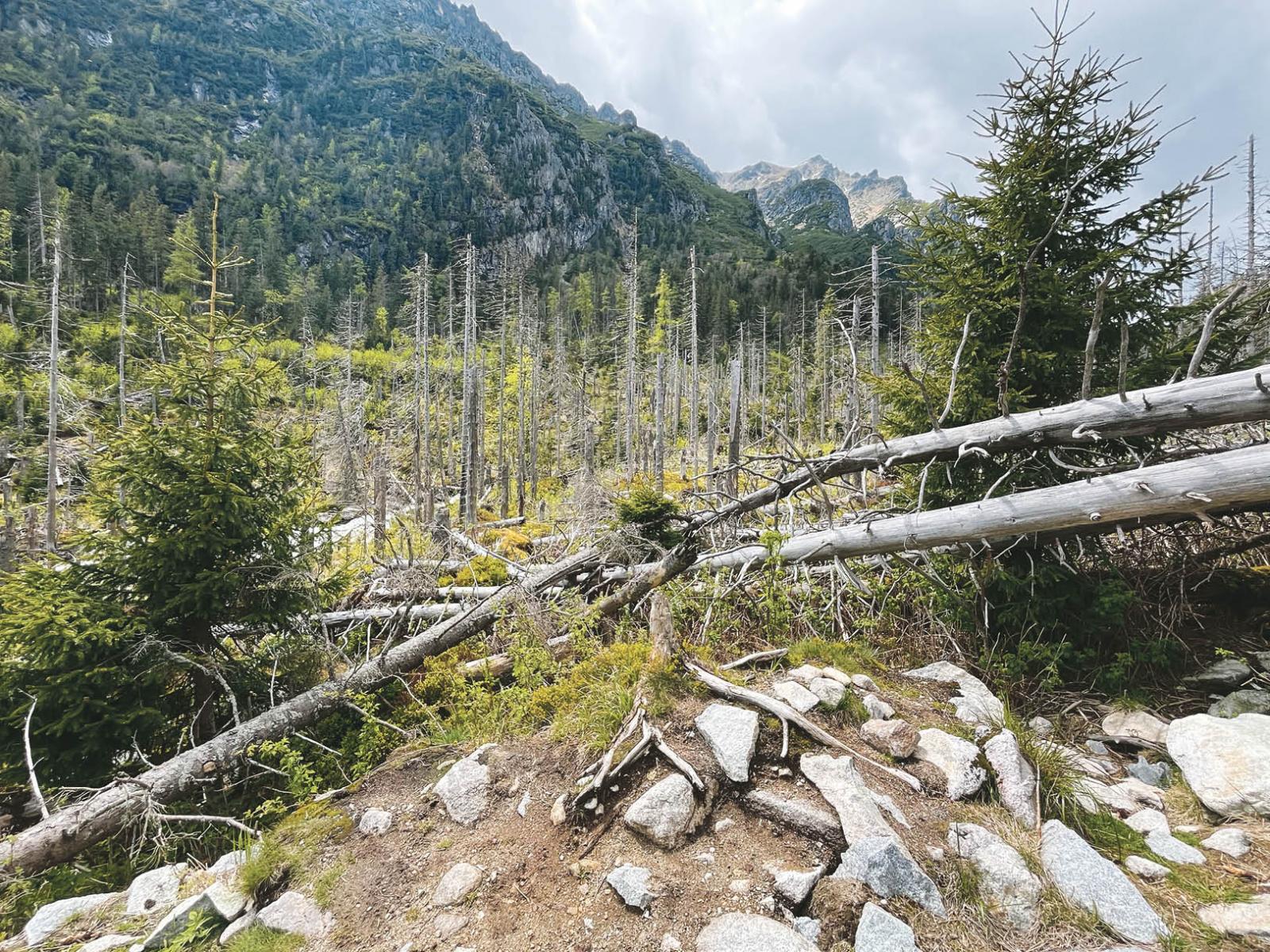 Még látszanak a két évtizeddel ezelőtti természeti katasztrófa nyomai