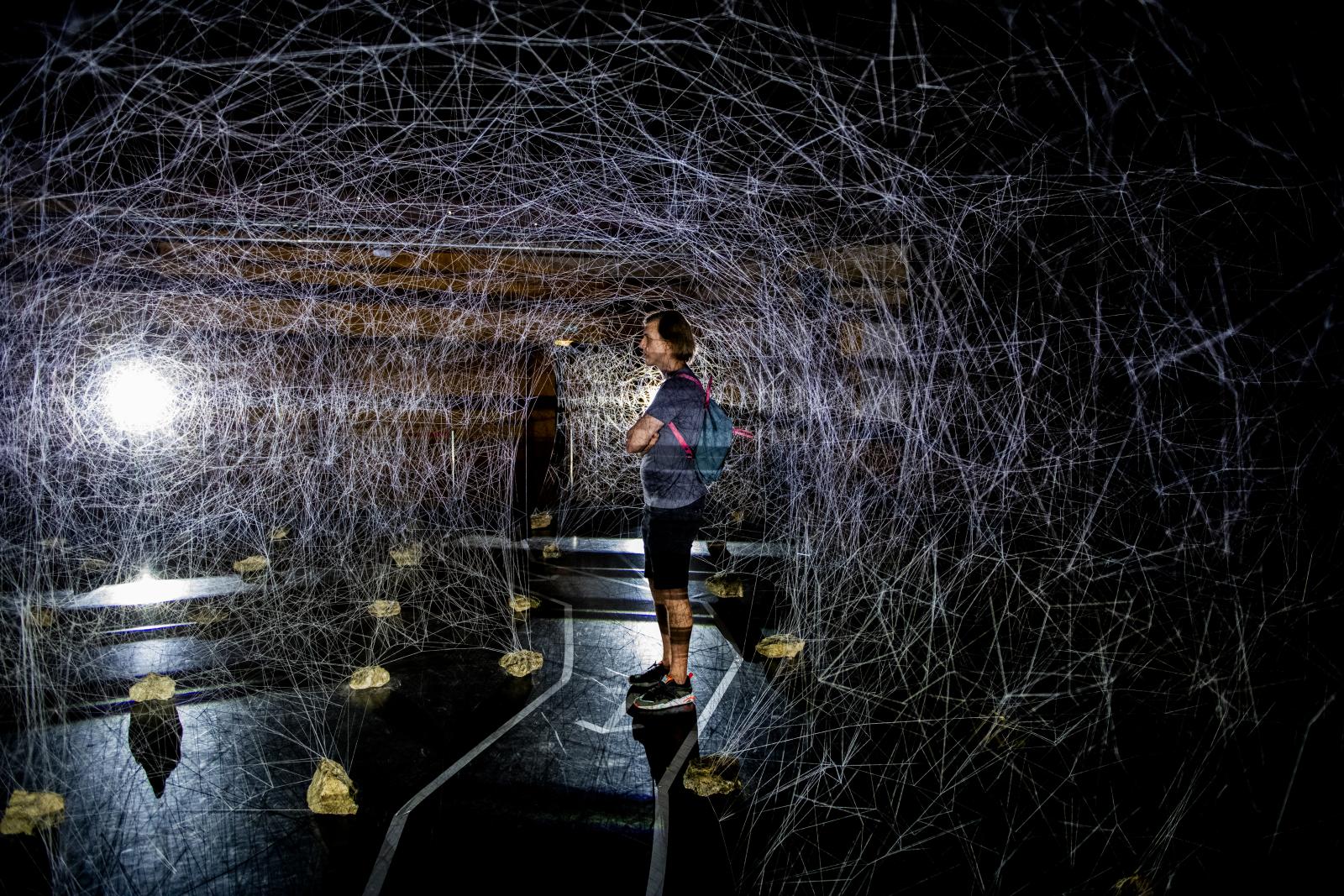 Fényből szőtt álom a város szívében