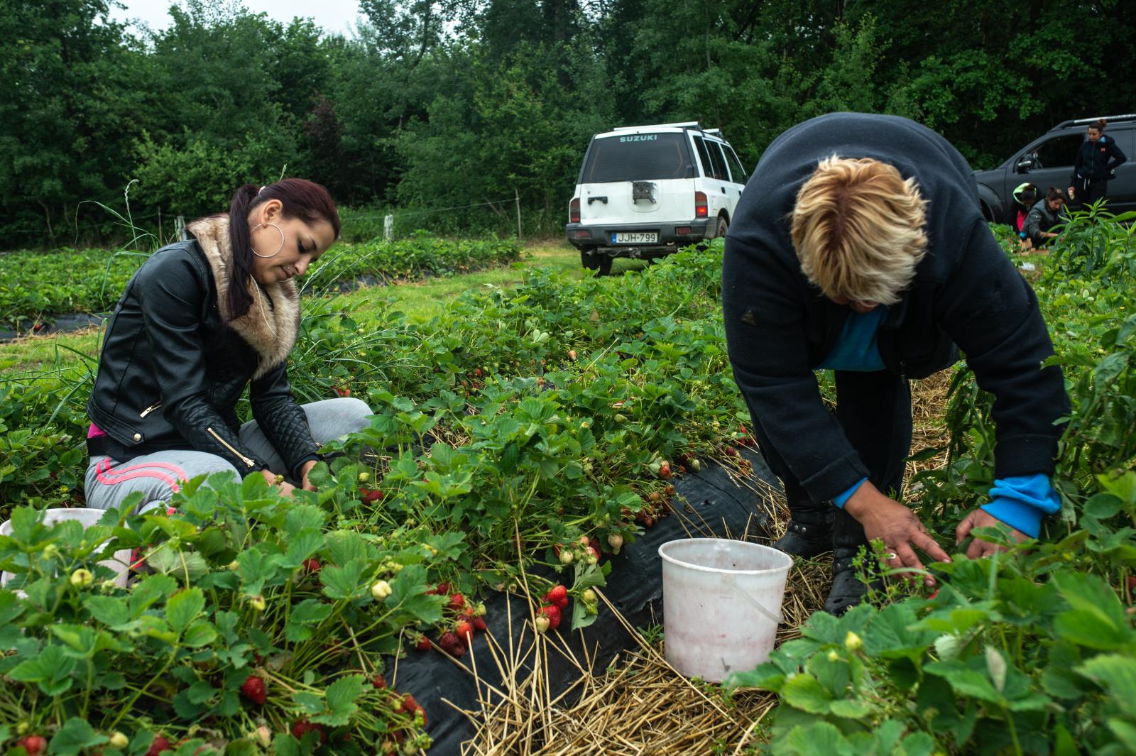 Az epernél volt némi növekedés, máshol sokkal rosszabb a helyzet