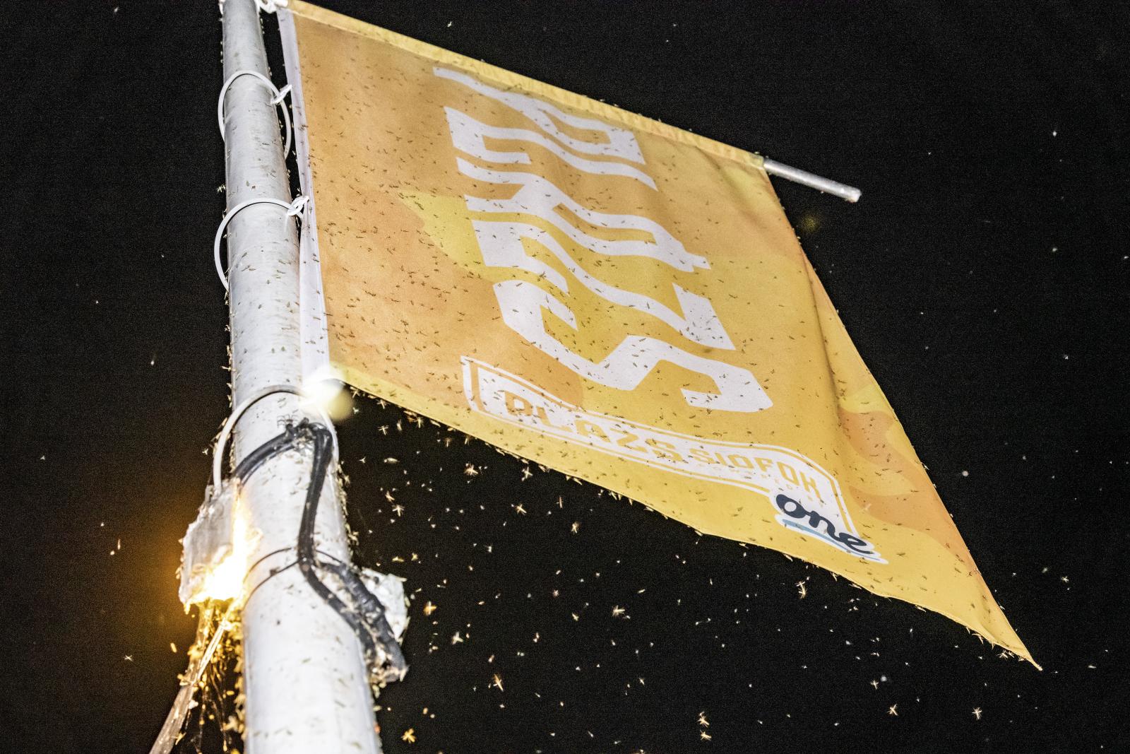 Orrba, szájba, italba, ételbe, mindenhova jut a balatoni árvaszúnyogból. Nincs menekvés előlük