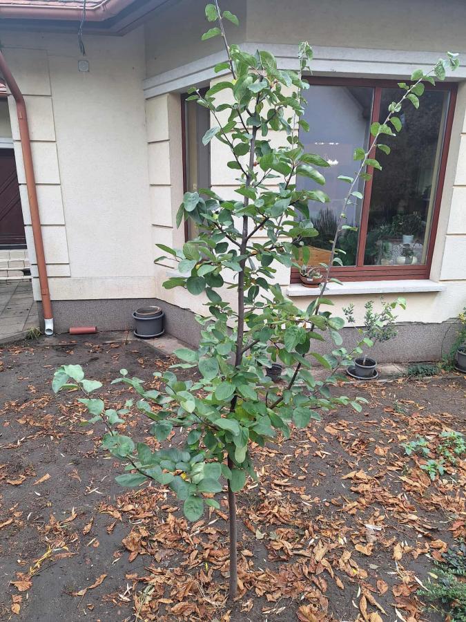 A szerző felvétele.