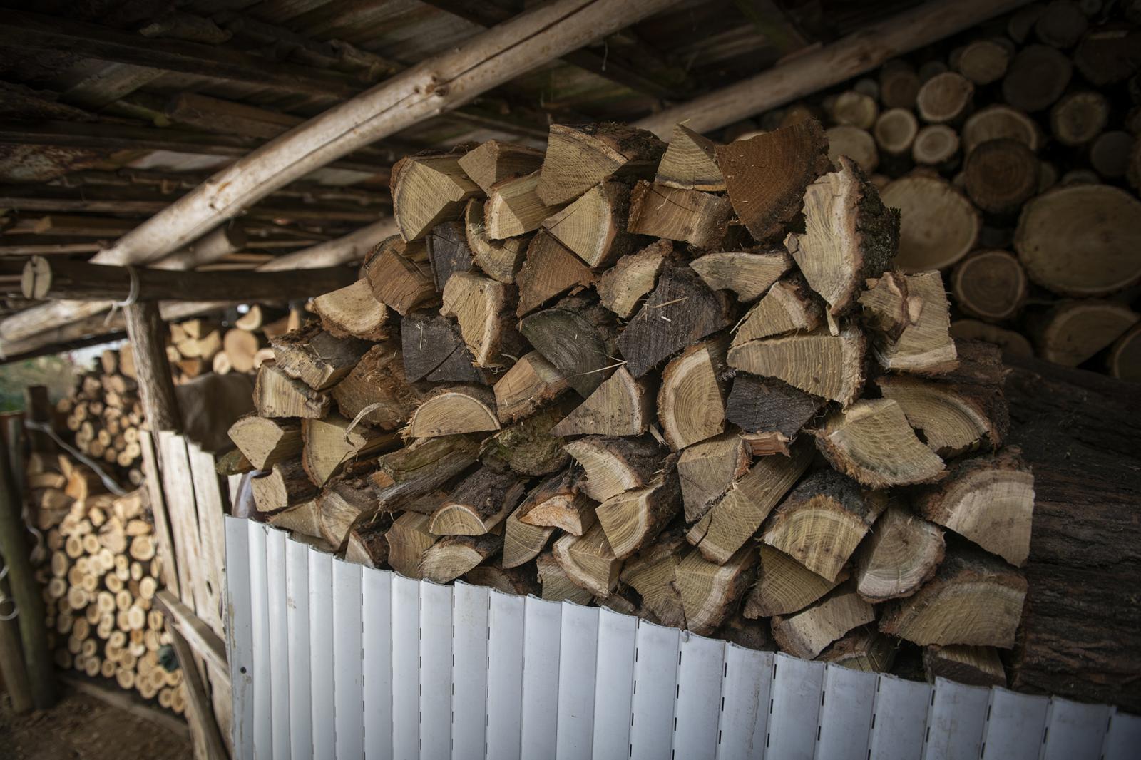 Kincs. Már nyáron elkezdik gyűjteni