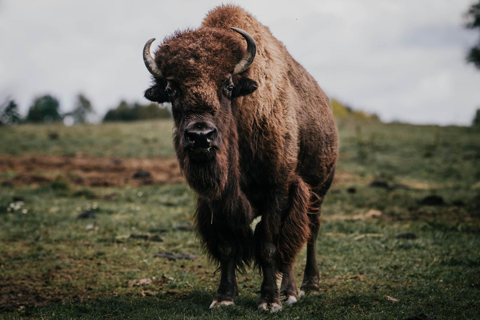 2025. szeptember 6. Csatkai cigánybúcsú. 