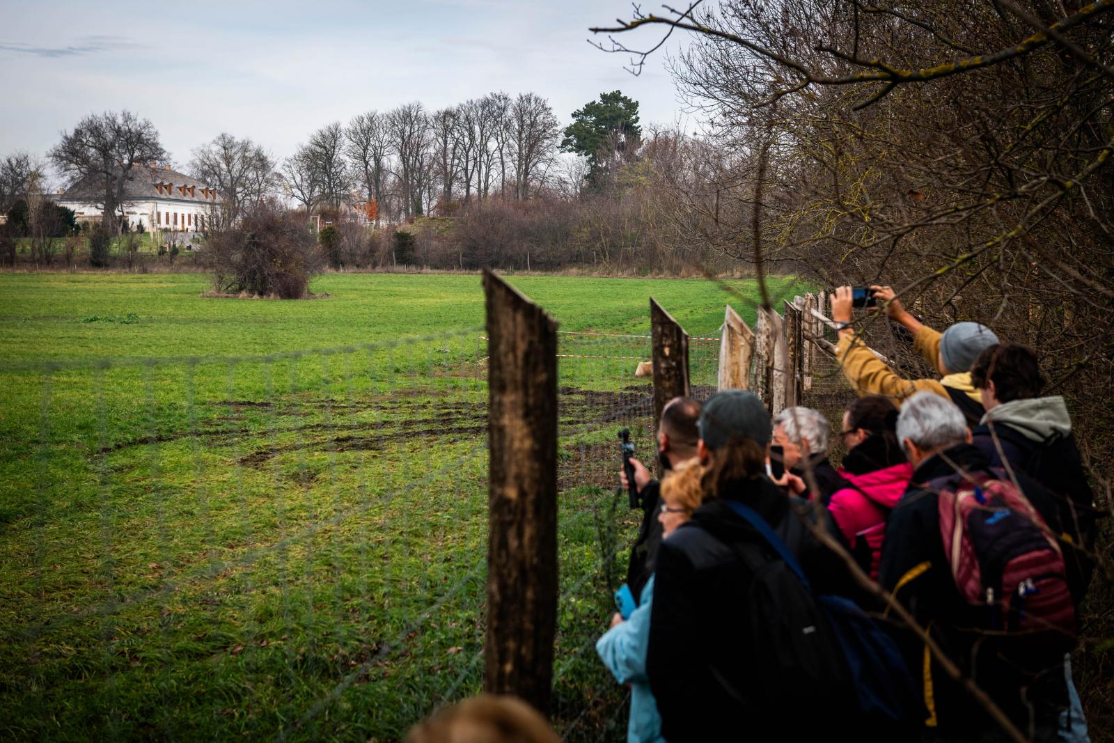 2025. szeptember 6. Csatkai cigánybúcsú. 