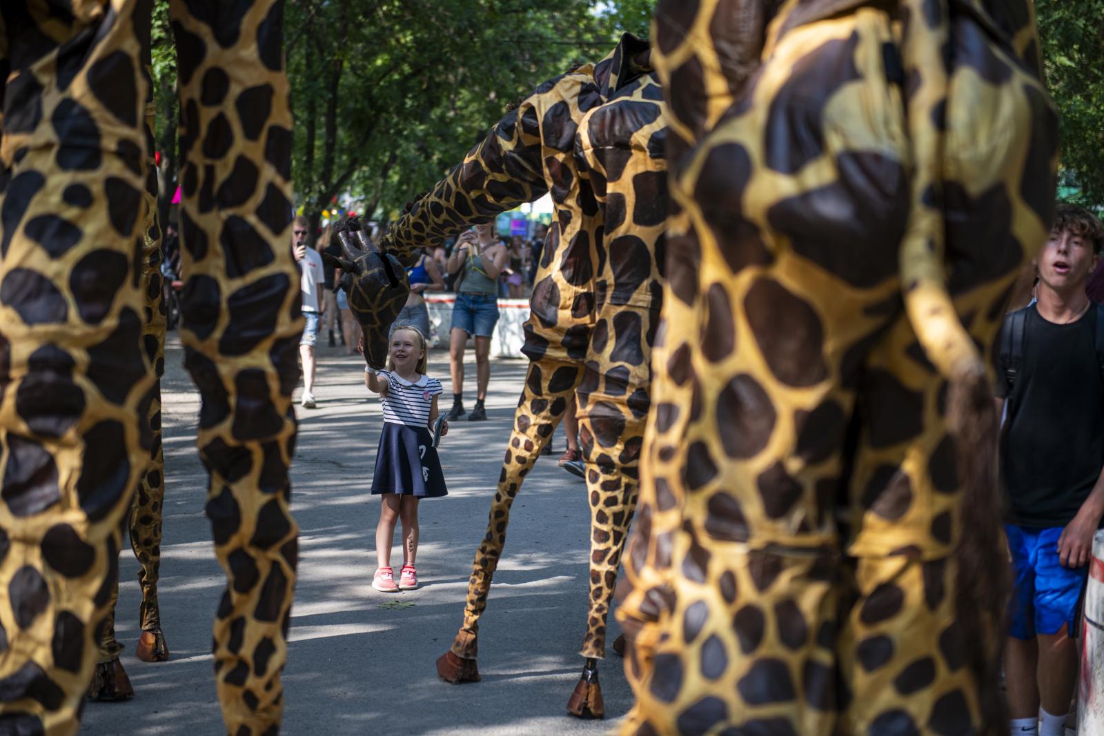 Riport a Van helyed alapítványnál április 3-án.