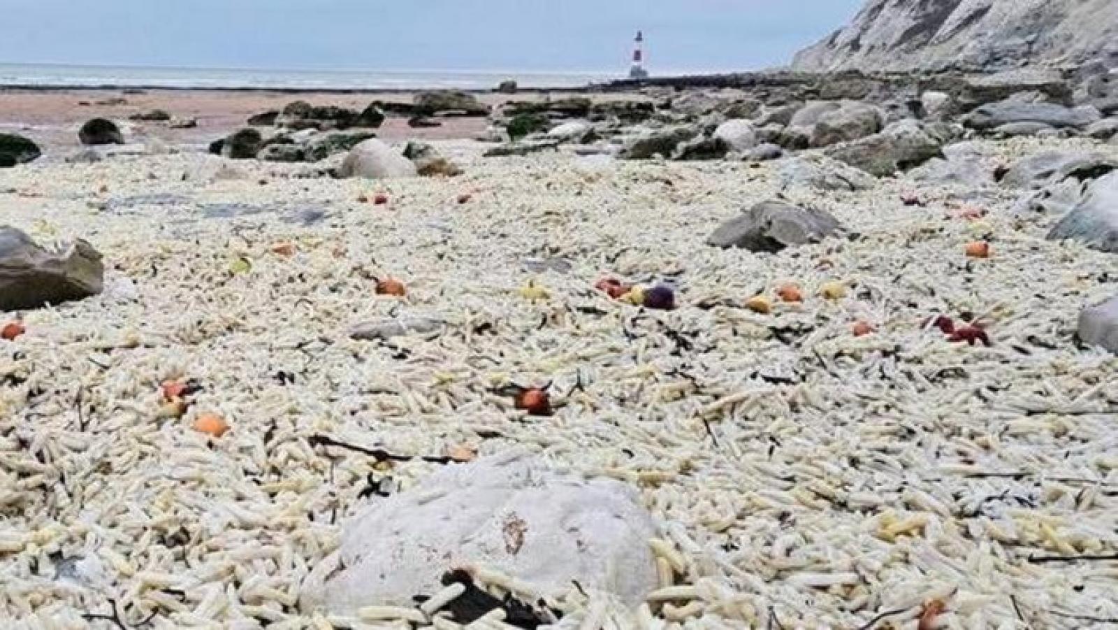 Több ezer zacskó mirelit hasábburgonyát mosott partra a víz Anglia déli részén