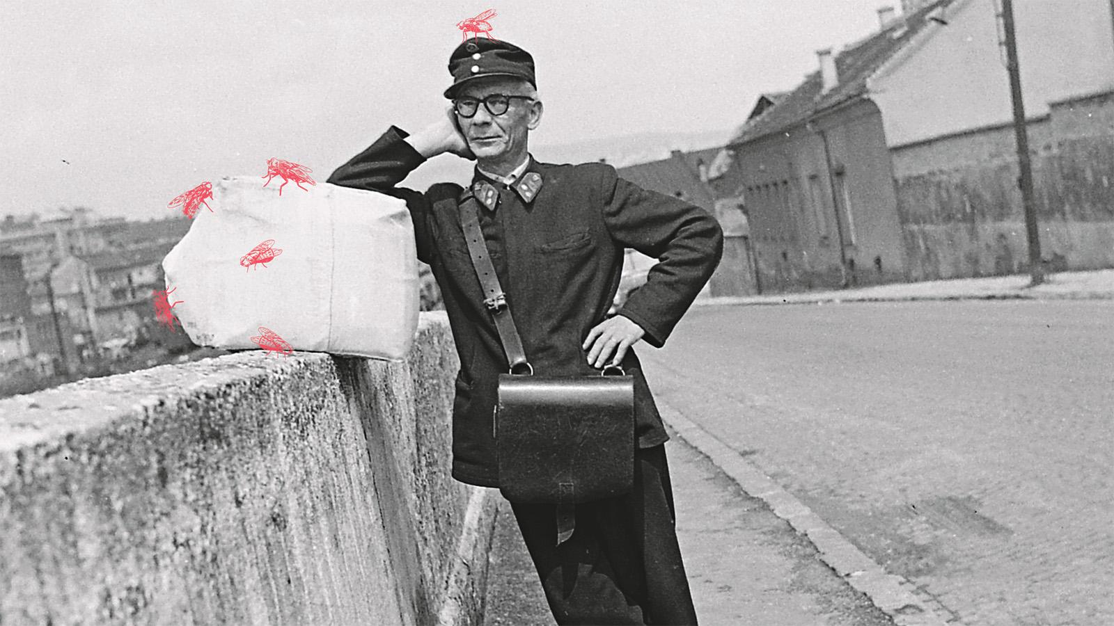 Heti abszurd: Dankóné vásznai