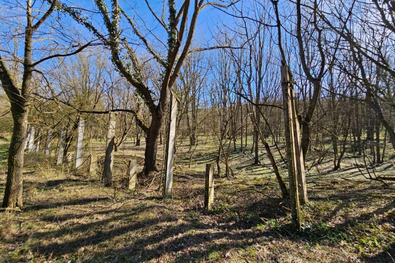 Nem kell börtönbe mennie a polgármesternek, akinek a gyerekei negyedáron jutottak hozzá önkormányzati földekhez