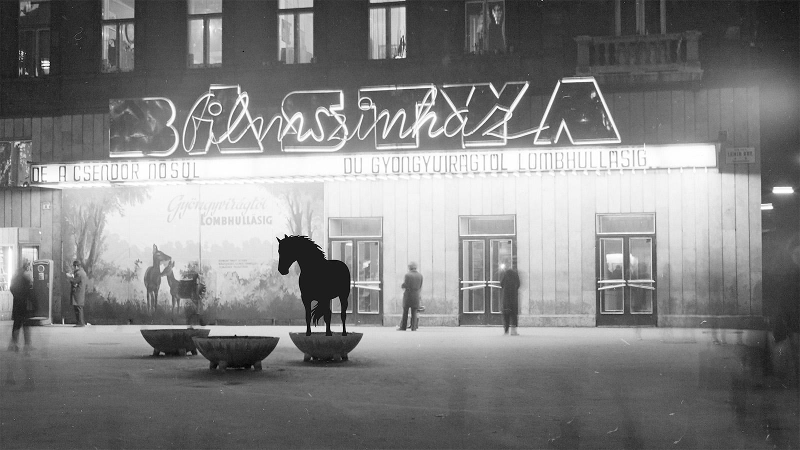 Tóth Vivien: Nietzsche lova