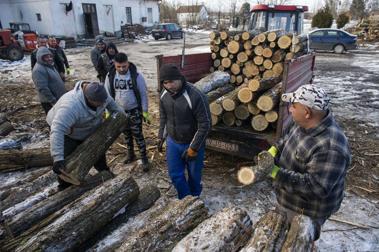 Döbrögi tűzifája