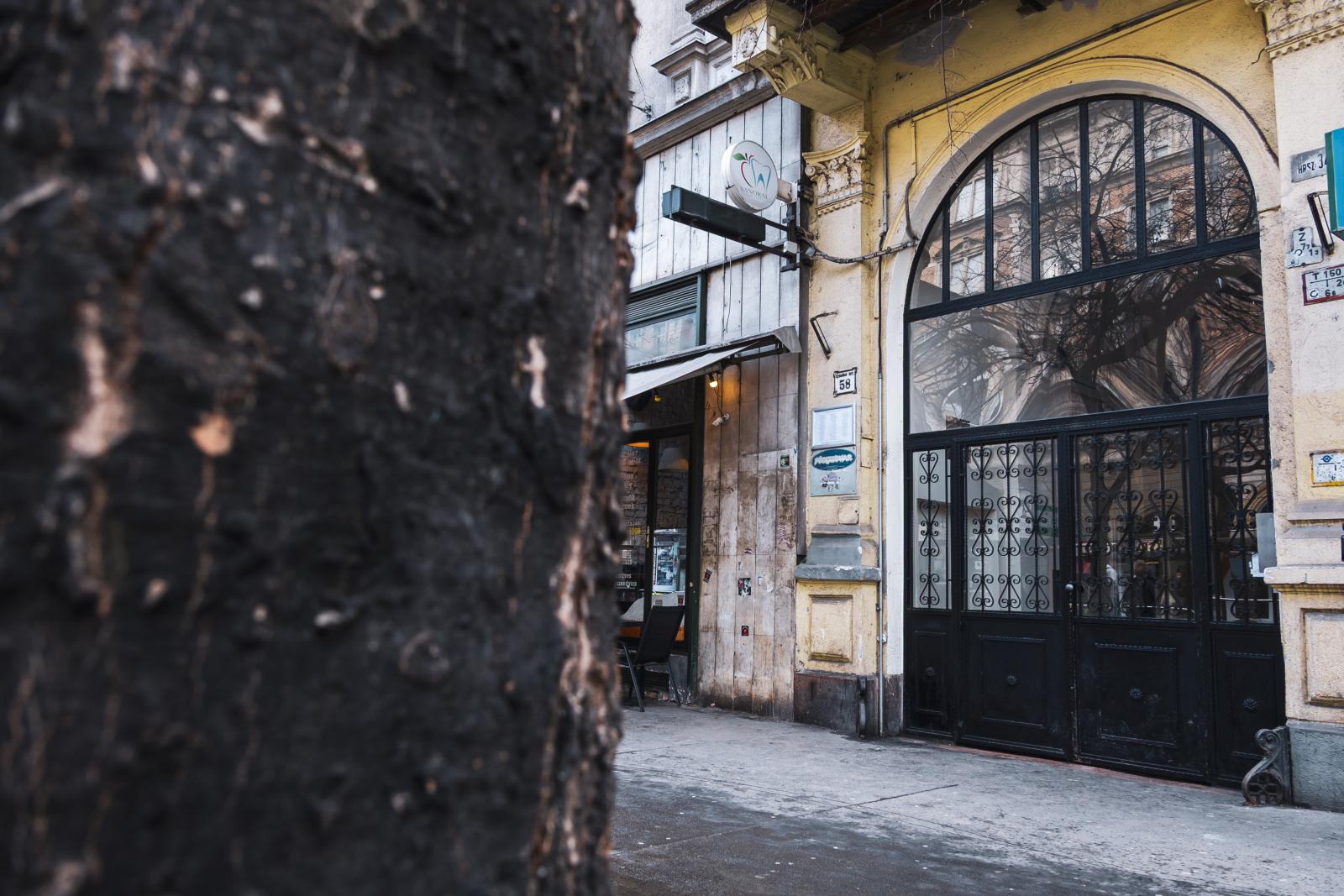 Kábítószer-birtoklás gyanúja miatt nyomoznak a Magyar Péter-féle házibuli miatt