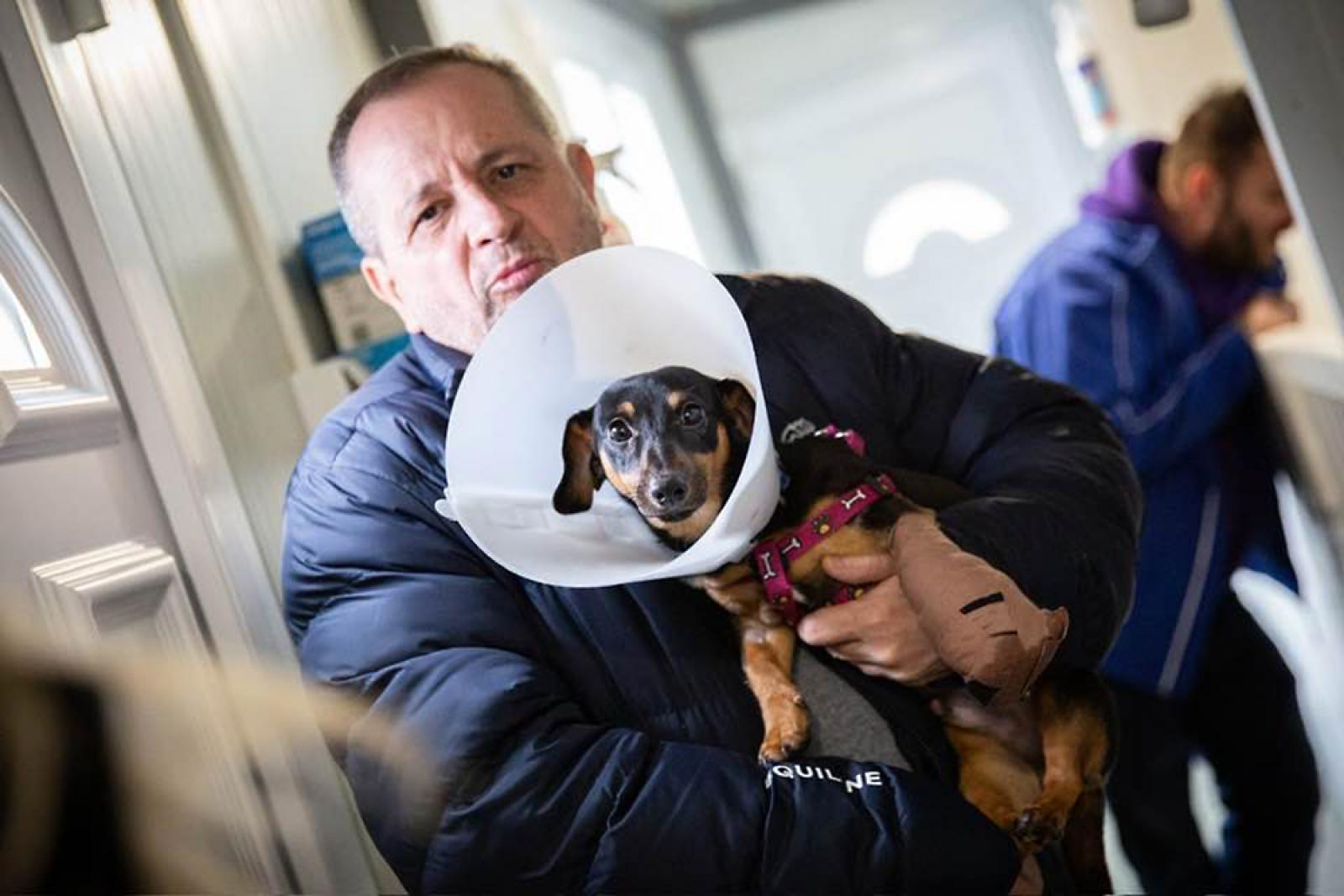 Több mint ezeregyszáz eljárás tartottak nyilván állatkínzás miatt 2025-ben, 207 ügy jutott vádemelésig