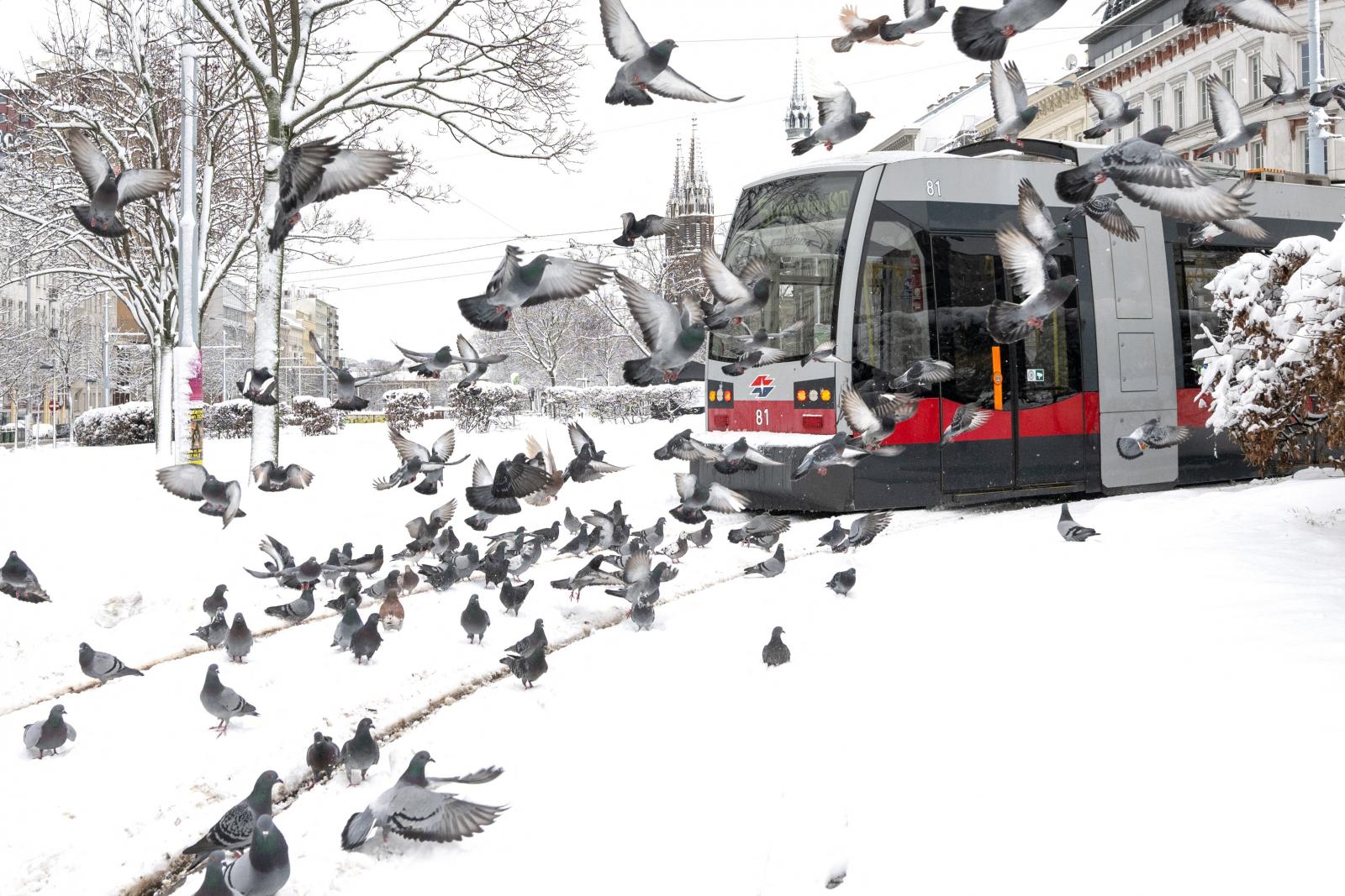 Ausztriában már halálos áldozata is van a téli időjárásnak