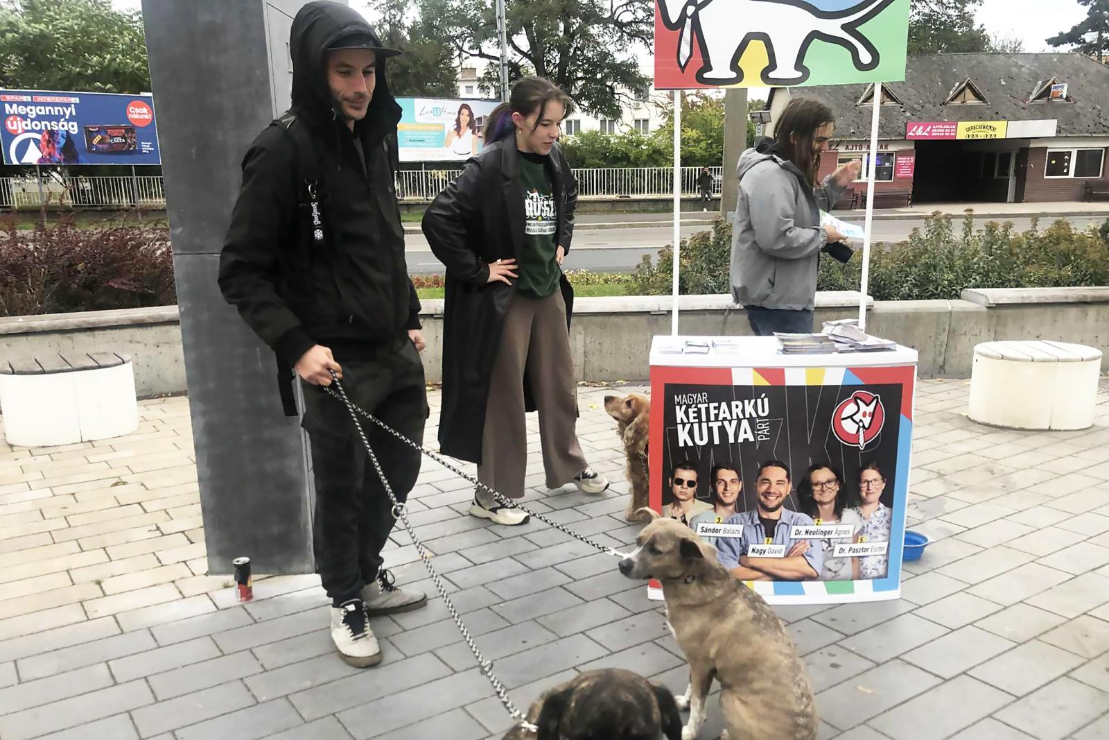 Késsel fenyegették egy lépcsőházban a Magyar Kétfarkú Kutya Párt tatabányai jelöltjét