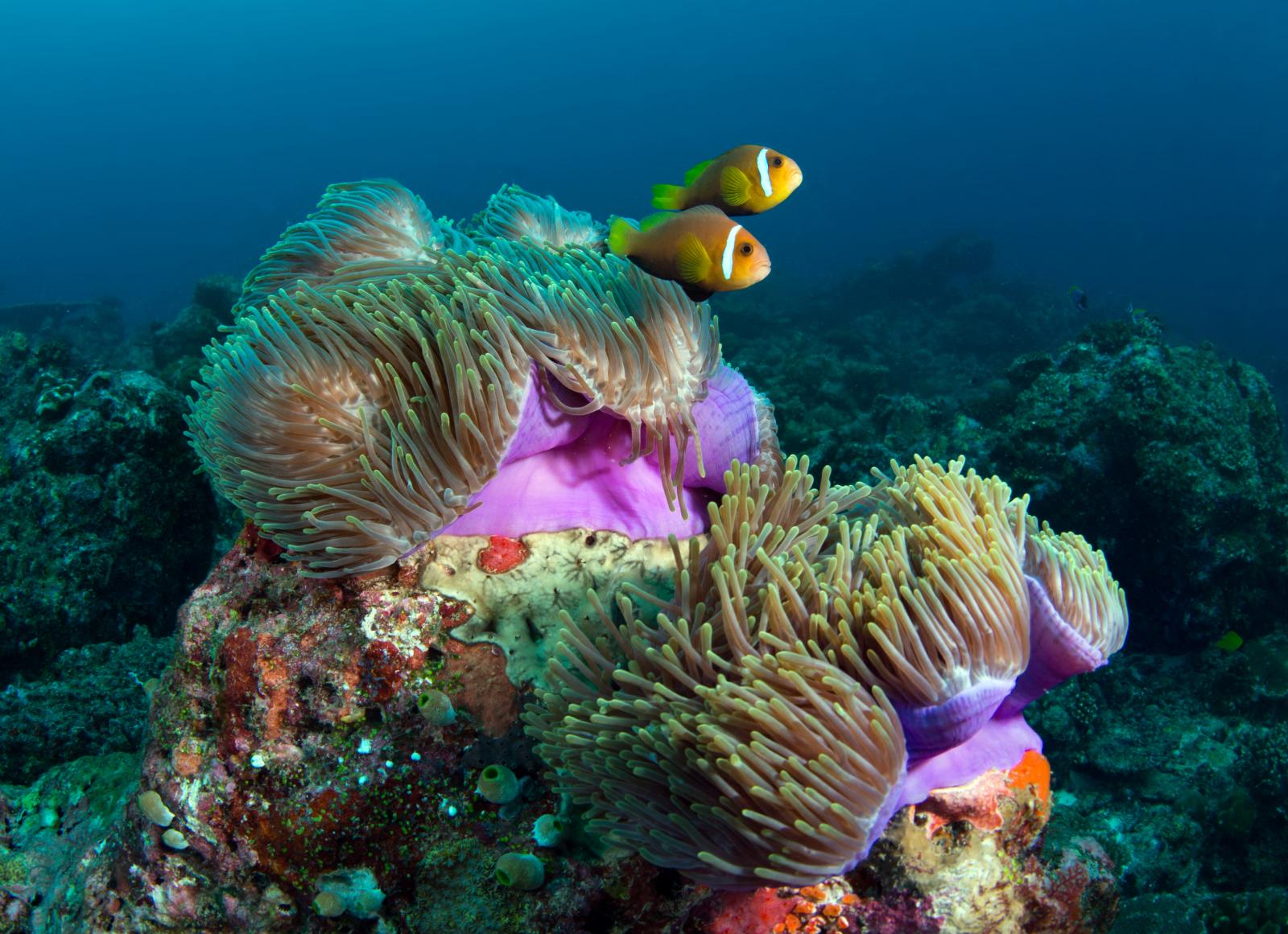 Jogunk van a fenntarthatatlan élethez, de már nemcsak az unokáink életével, hanem a saját nyugdíjaséveinkkel is játszunk
