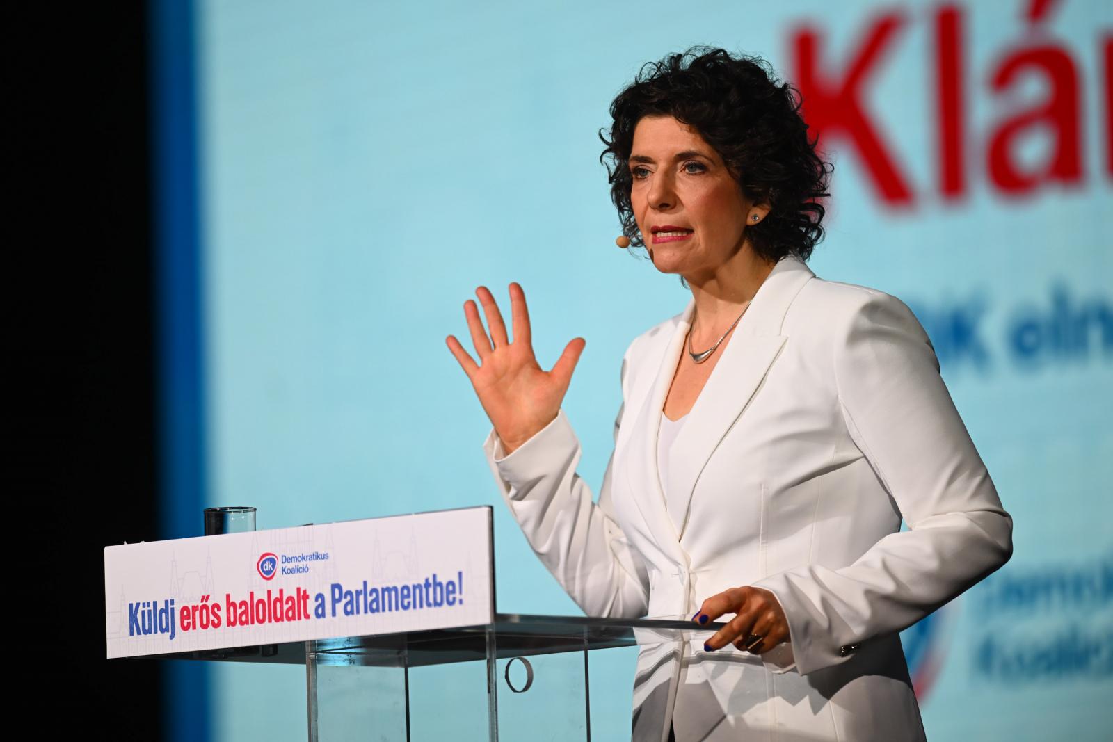 Véget vetne a káosznak, önálló egészségügyi, oktatási és környezetvédelmi minisztériumot hozna létre a Demokratikus Koalíció