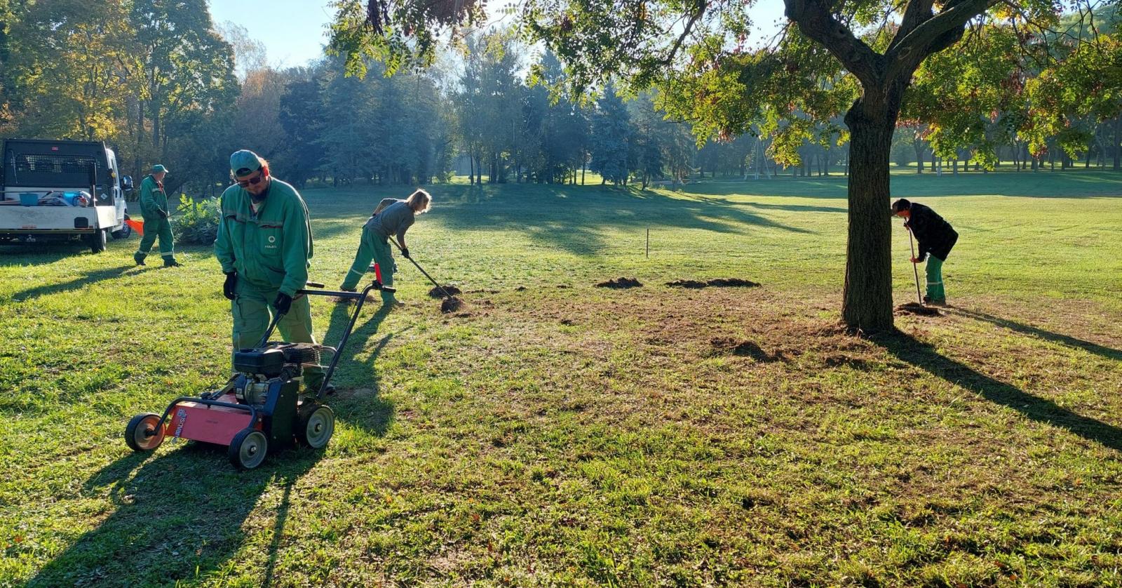 Évekig jóval nagyobb terület kaszálását rendelte meg a főváros, mint amekkorán fű nőhet, válasz nincs, csak felszámolás és kirúgások