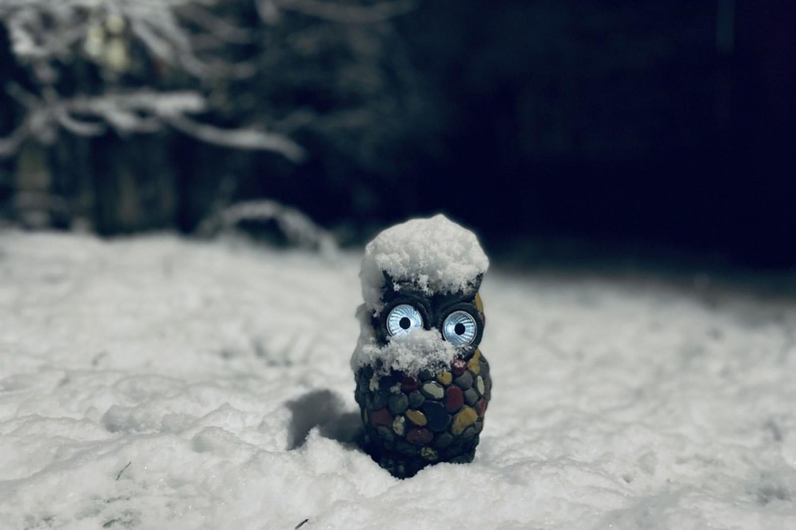 Viharos szélre, esőre és hóra is figyelmeztetnek a meteorológusok