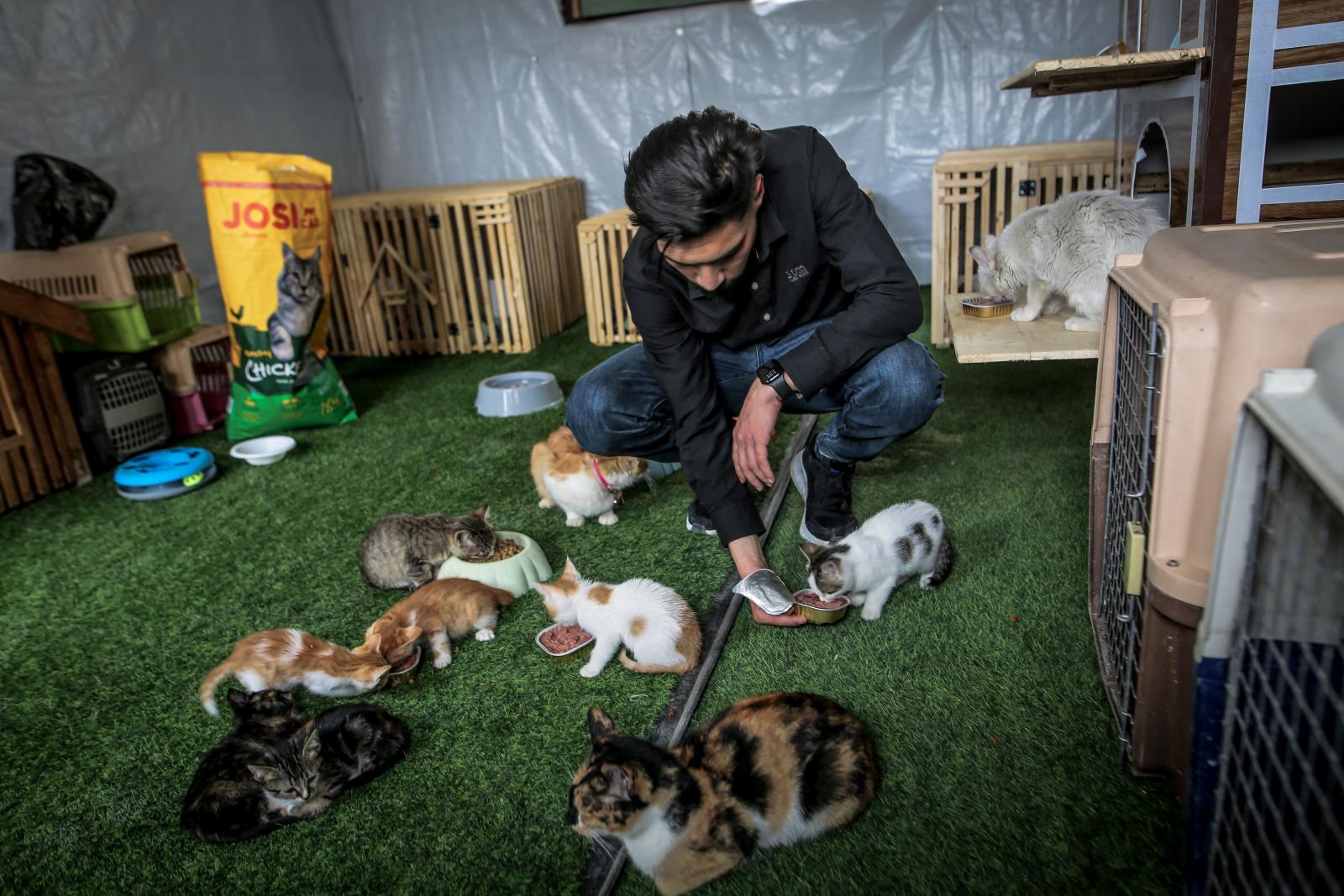 Macskamenhely Gázában