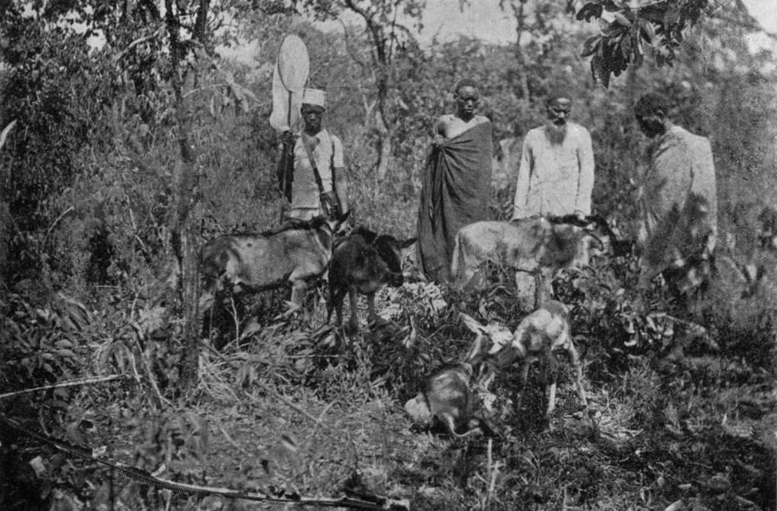 A magyar báró, aki Afrikáig futott