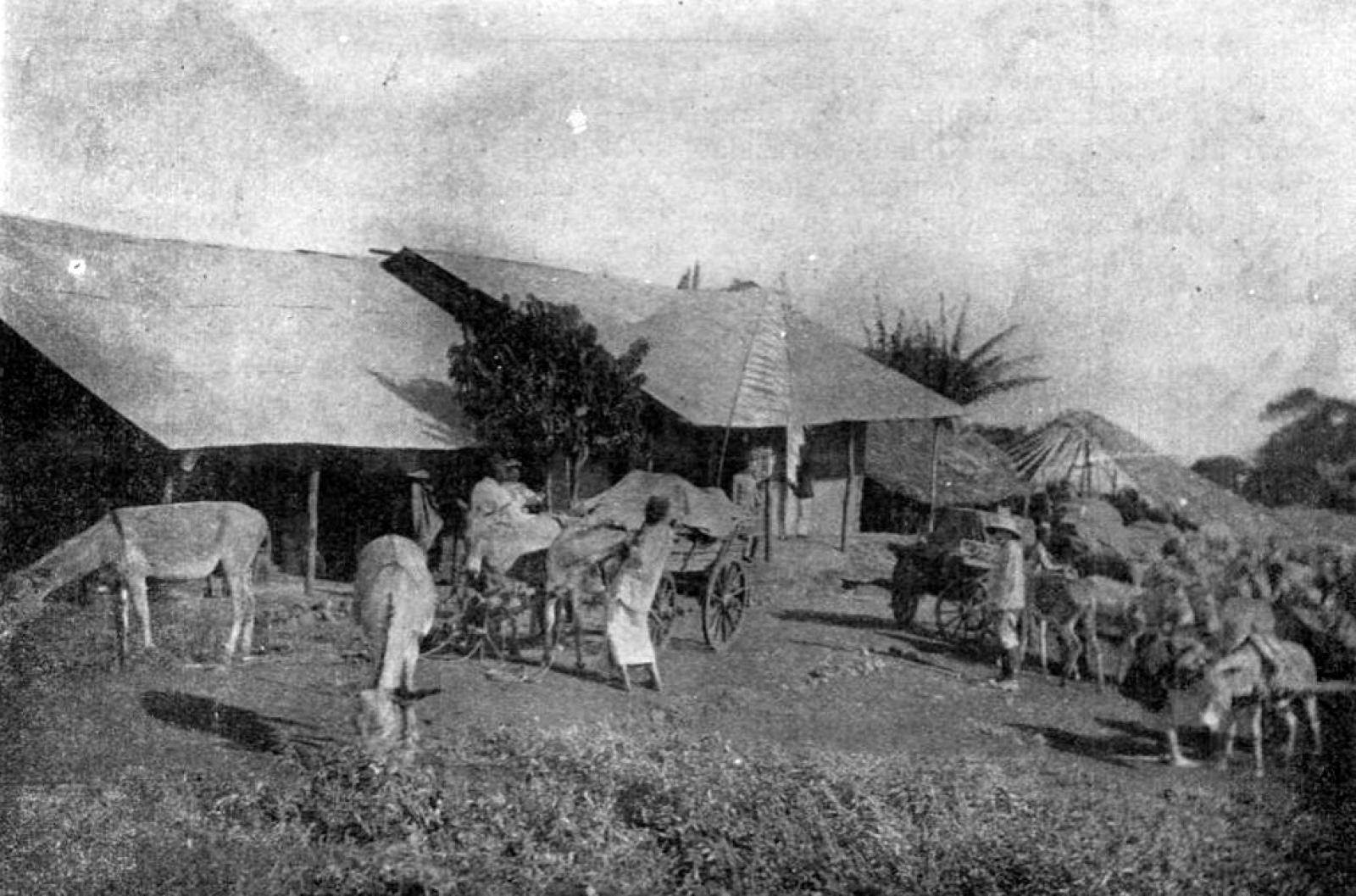 Az utazóként, vadászként és múzeumok beszerzőjeként is elhíresült báró karavánja