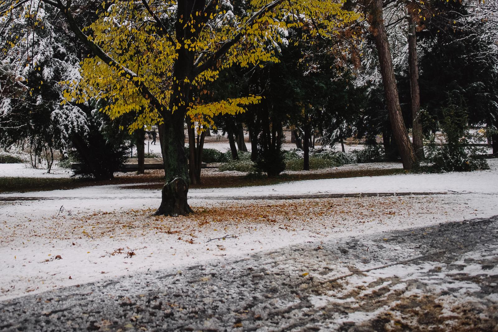 Hóval búcsúzik a március, havazott a Kékesen és a Bükkben is