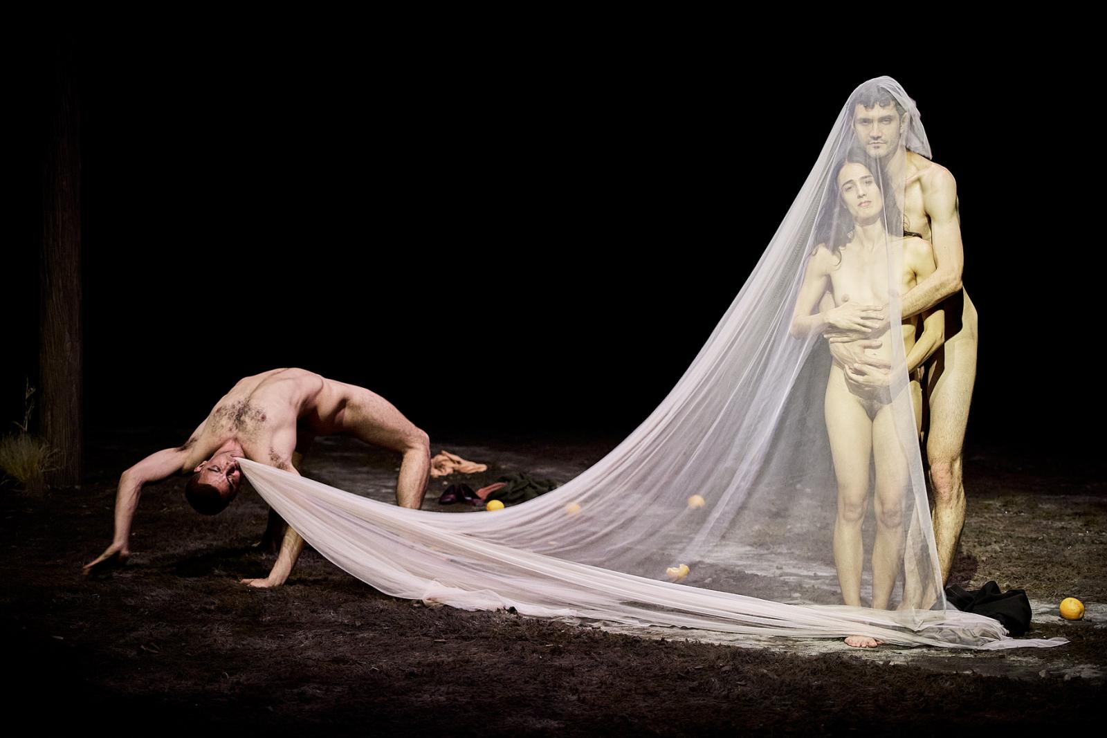 Anyák, fények, árnyékok