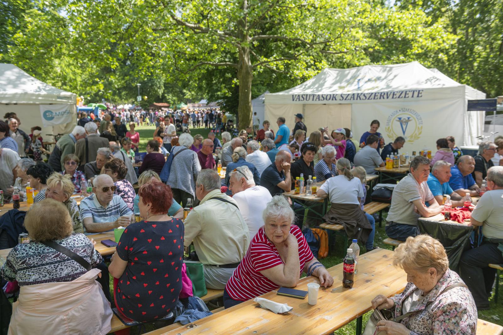 Az idén nem lesz szakszervezeti majális a Városligetben