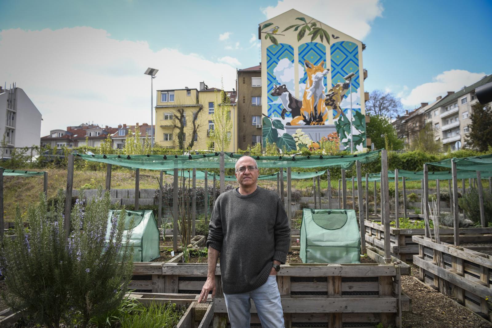 Virágzásnak indultak a városi közösségi kertek