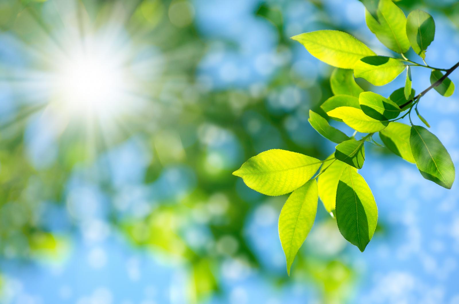 A pénteki volt az év eddigi legmelegebb napja