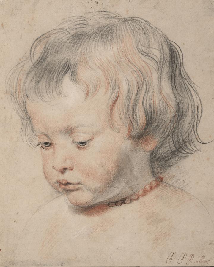 Peter Paul Rubens 1619 körül készült rajzán a fia, Nicolaas Rubens szerepel