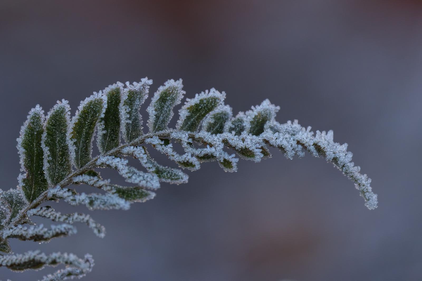 Csaknem mínusz 4 Celsius-fok volt szombat hajnalban a Bükk egyik pontján