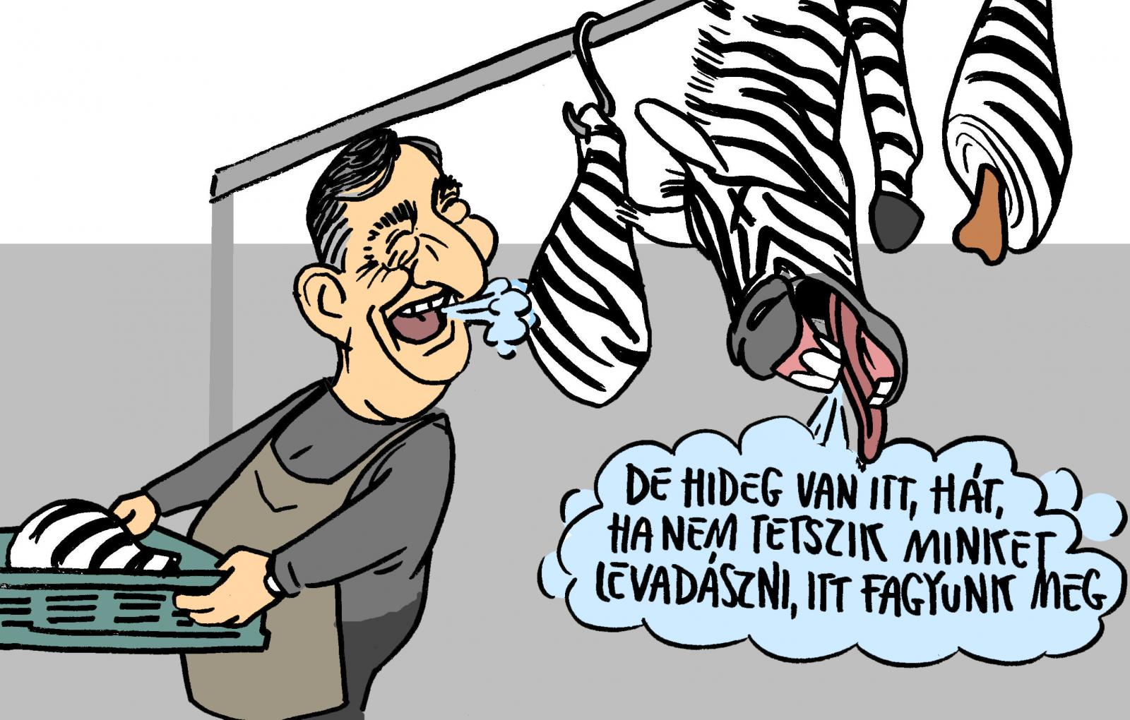 Árad a csontváz