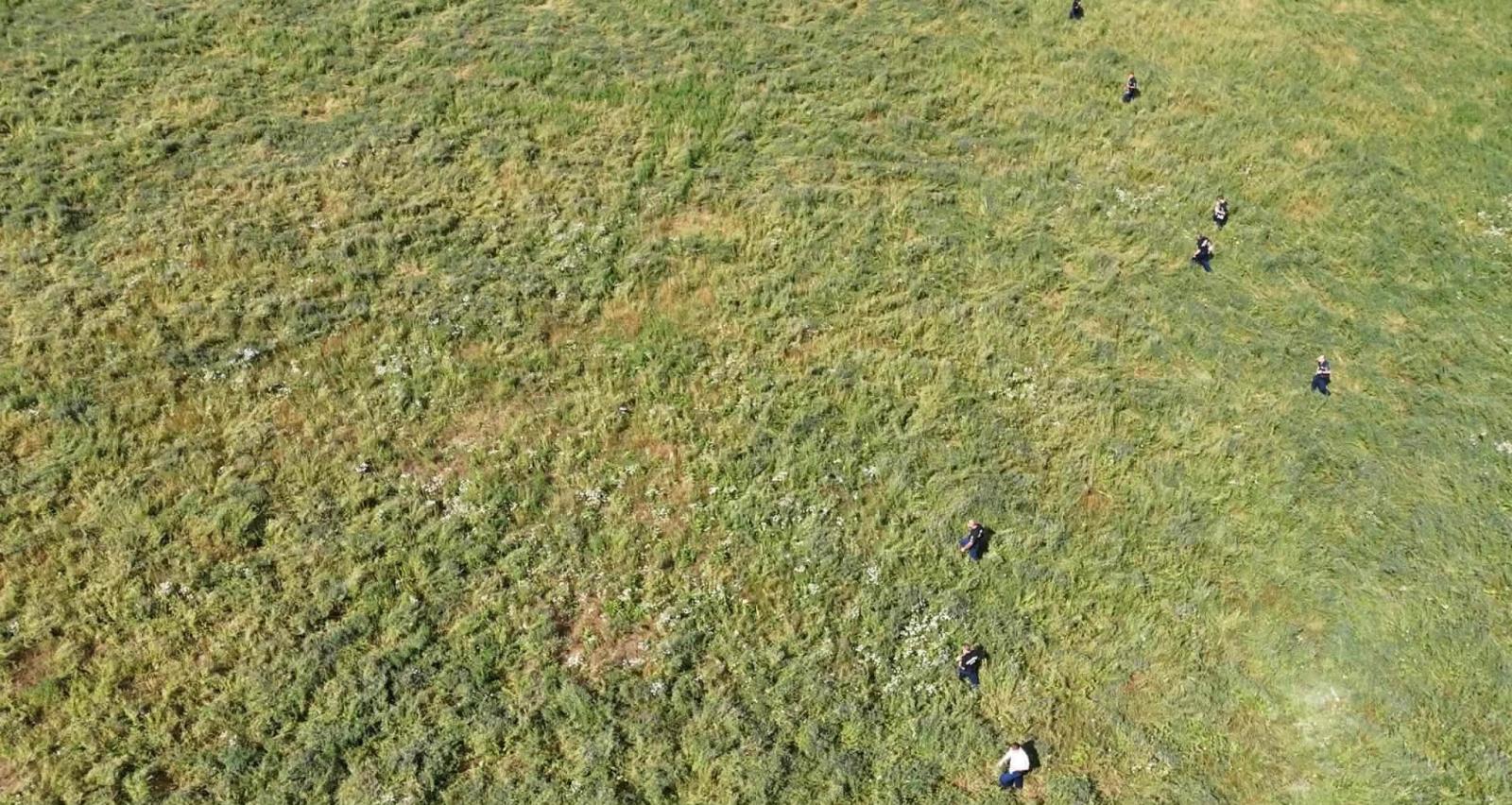 Csaknem 24 óra bujkálás után egy lucernásban találták meg a férfit, aki elgázolt egy igazoltató rendőrt Kaposszekcsőn