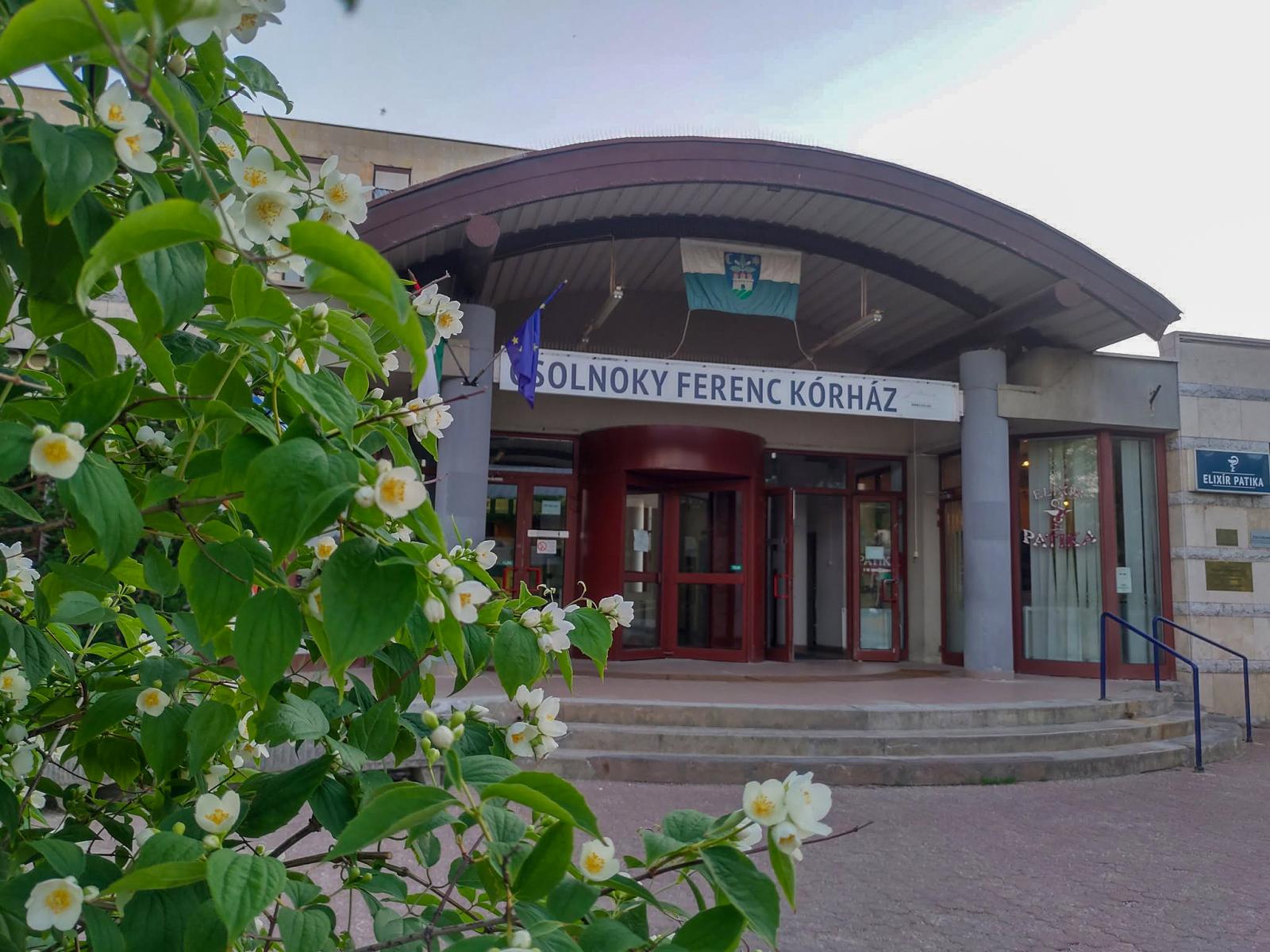 Ágyi poloska jelenlétét észlelték a veszprémi kórház gyermekágyas részlegén