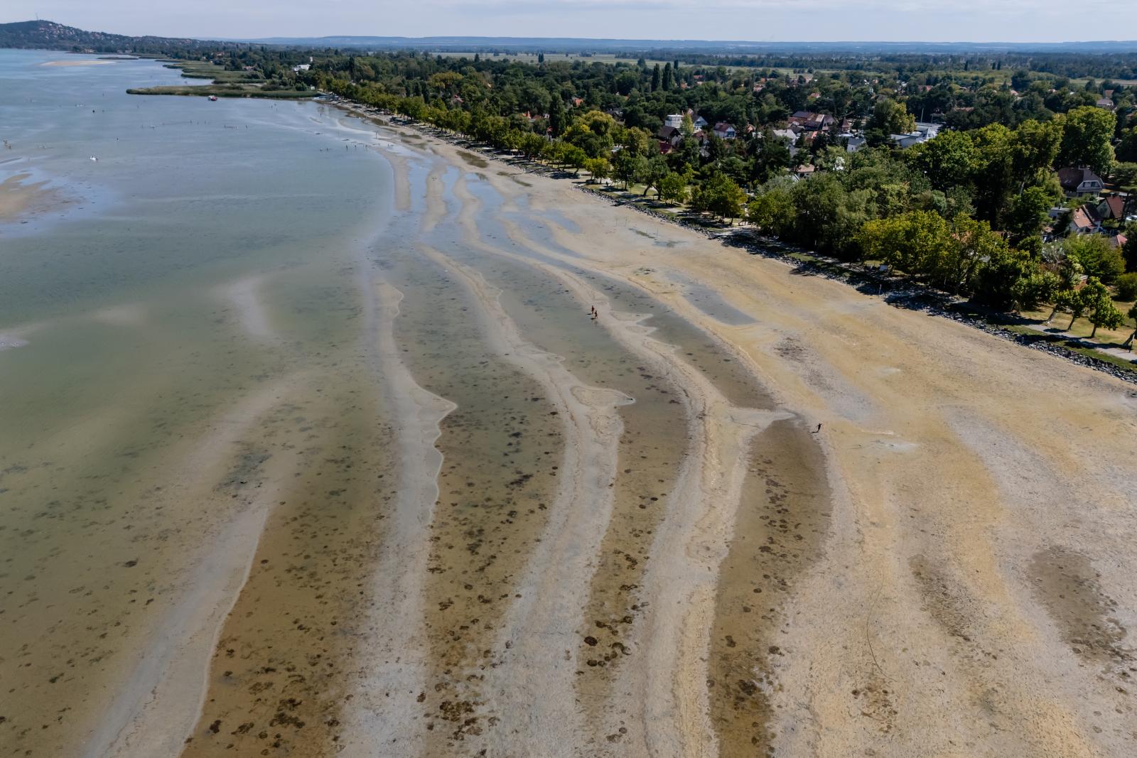 Az eltűnő tó nem akadály, a Balatonon sokkal inkább az estéket rontotta el az árvaszúnyog-invázió