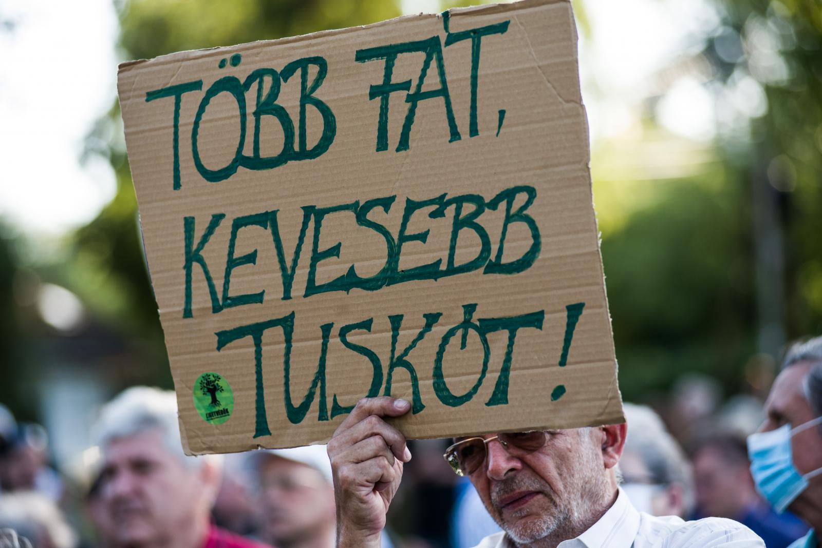 2020-ban a Hajógyári-sziget fáiért álltak ki a civilek és a fővárosi lakosok