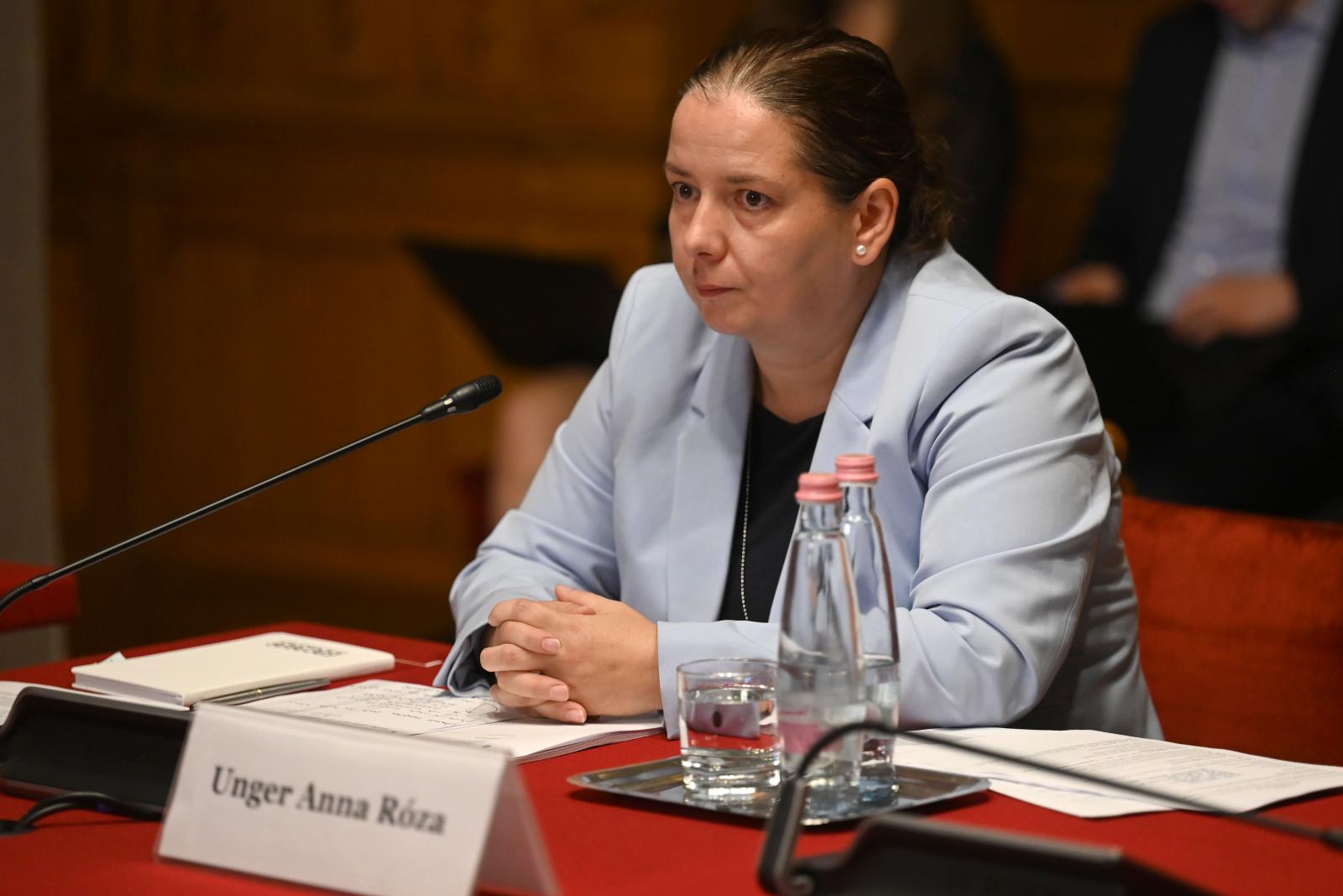 Nem adja ki a bizottság az NVVH-pályázat pontrendszerét, Magyar Péter húga is nyilvánosan Ligeti Miklós mellett foglalt állást