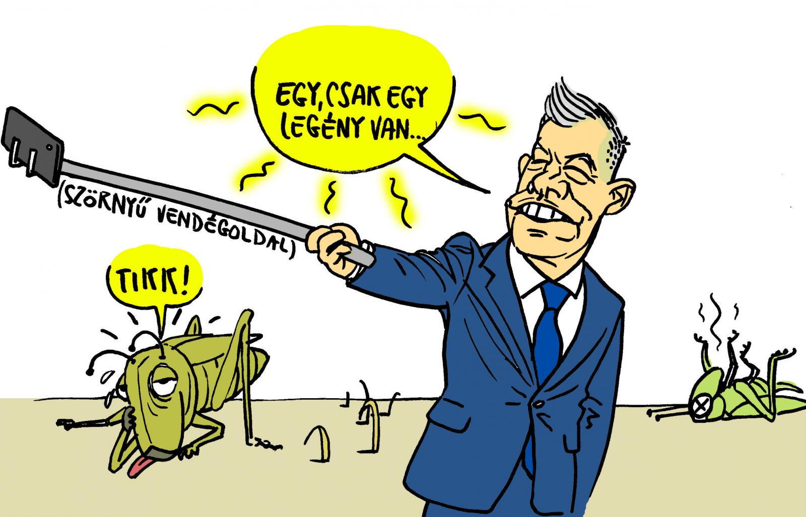 Piszkos Fred, a kapitány