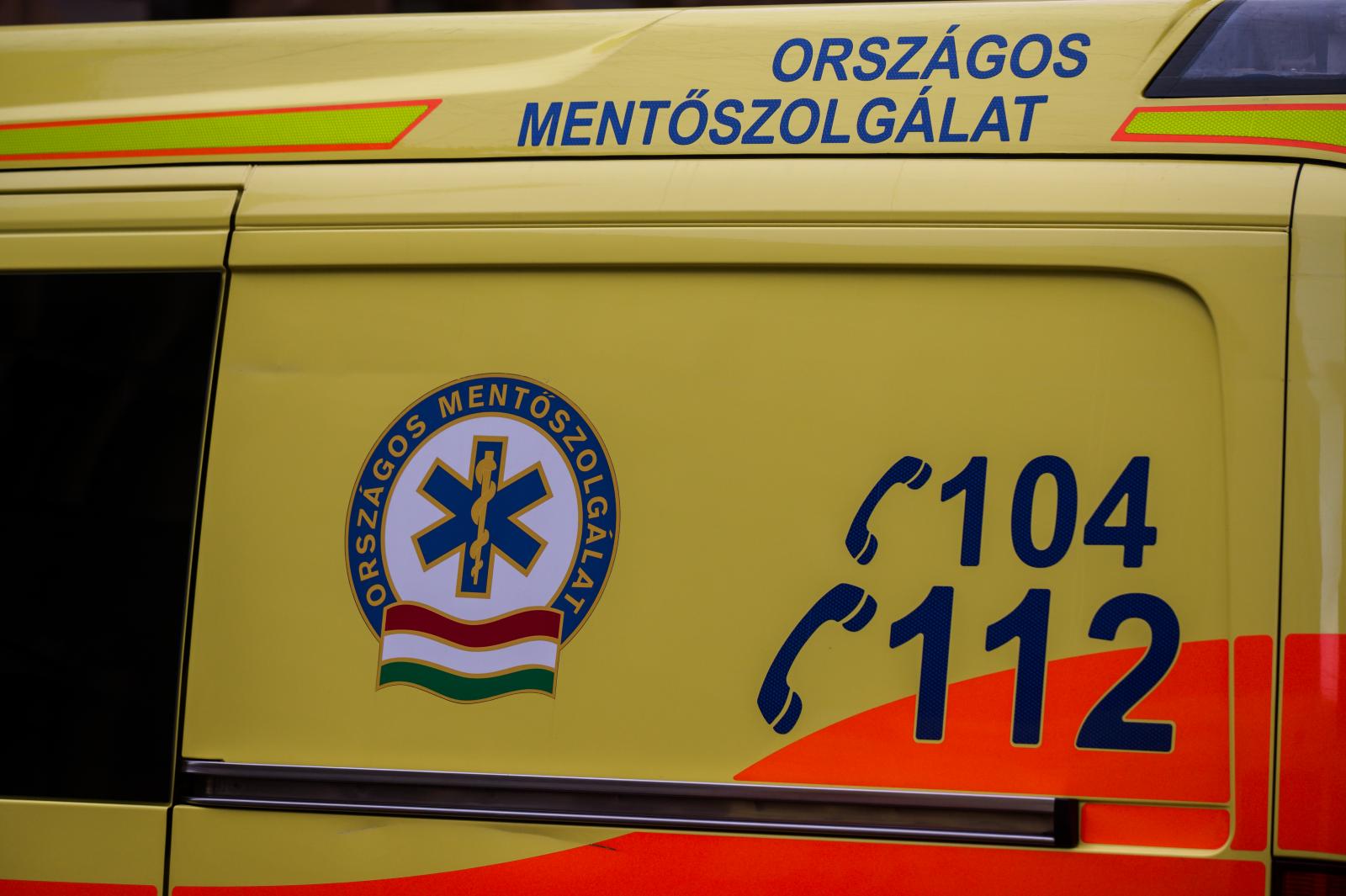 Elgázolt juh miatt állt félre egy lengyel turistabusz, belehajtott egy teherautó, hatan megsérültek