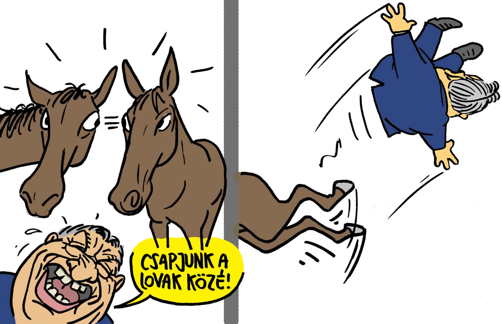 Pápai Gábor karikatúrája