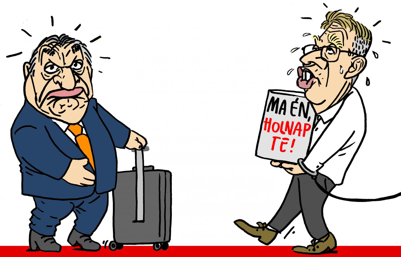 Kósa a Házban