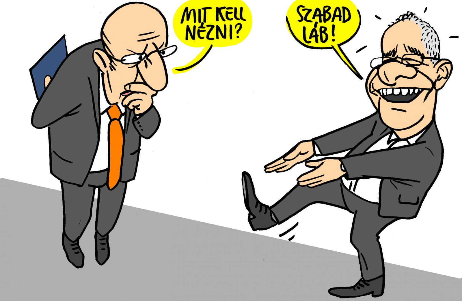 Kósa a Házban