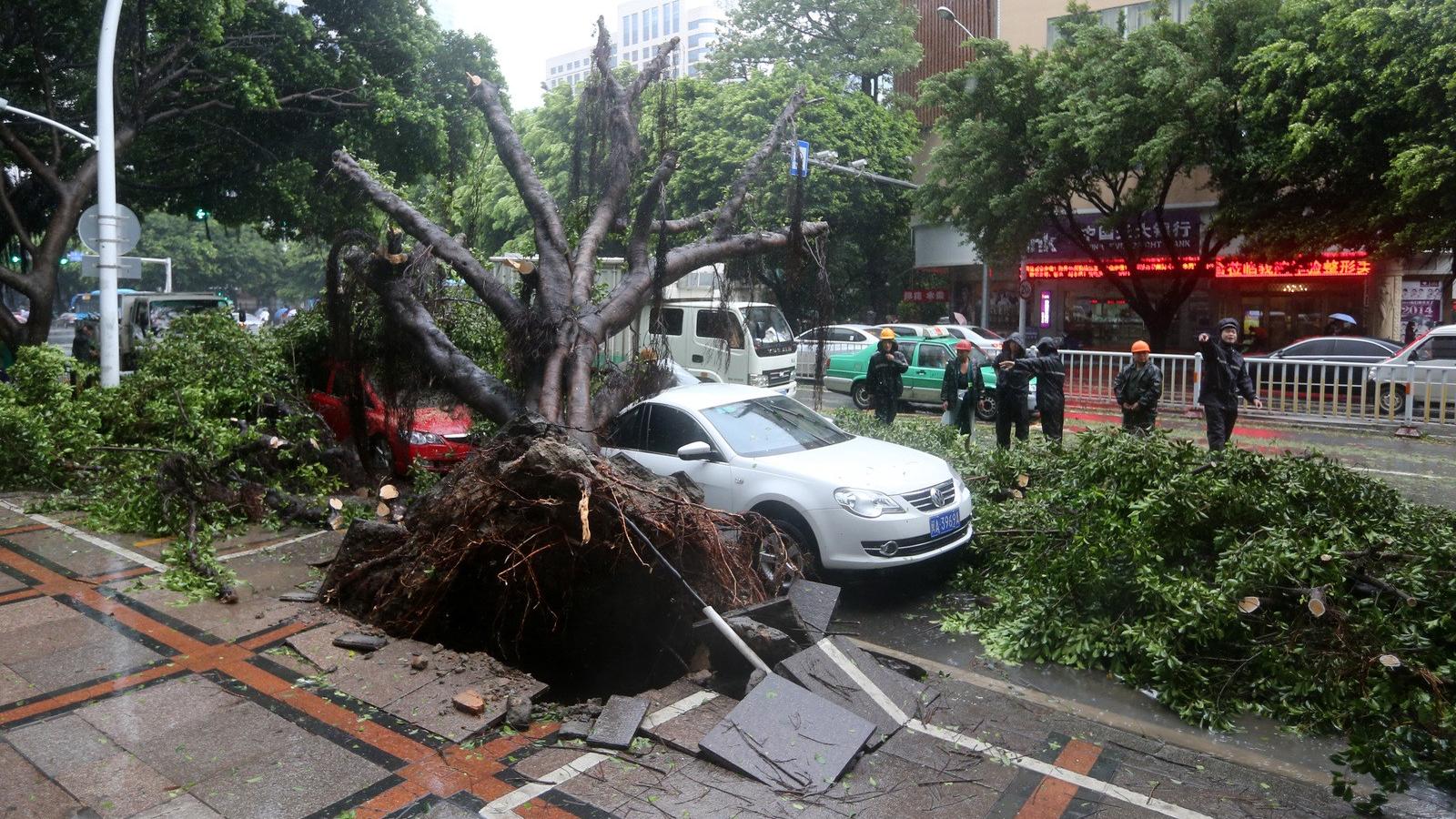 Kína, Fuzhou, a Matmo tájfun pusztítása Fotó: ChinaFotoPress / Getty Images