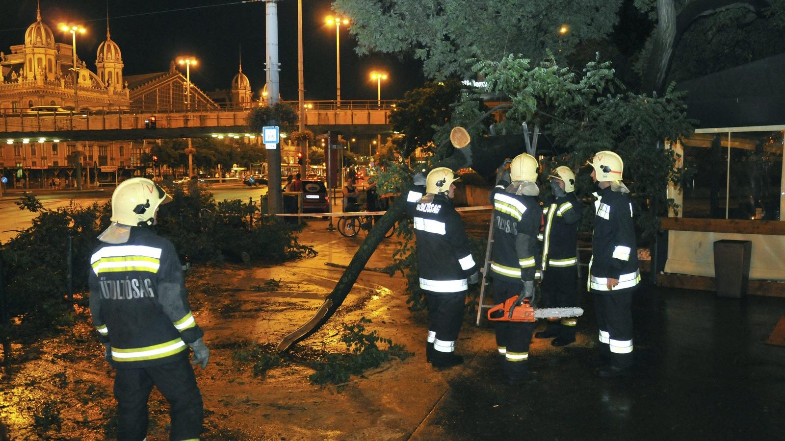 A vihar miatt letört faágakat távolítanak el tűzoltók a fővárosi Szent István körúton 2014. augusztus 2-án este. MTI Fotó: Mihád