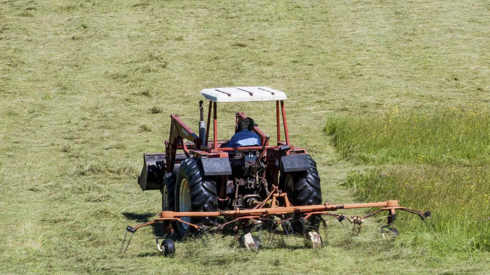 Az agrártámogatások megállapításánál kreatívan számolt a kormány FOTÓ: THINKSTOCK