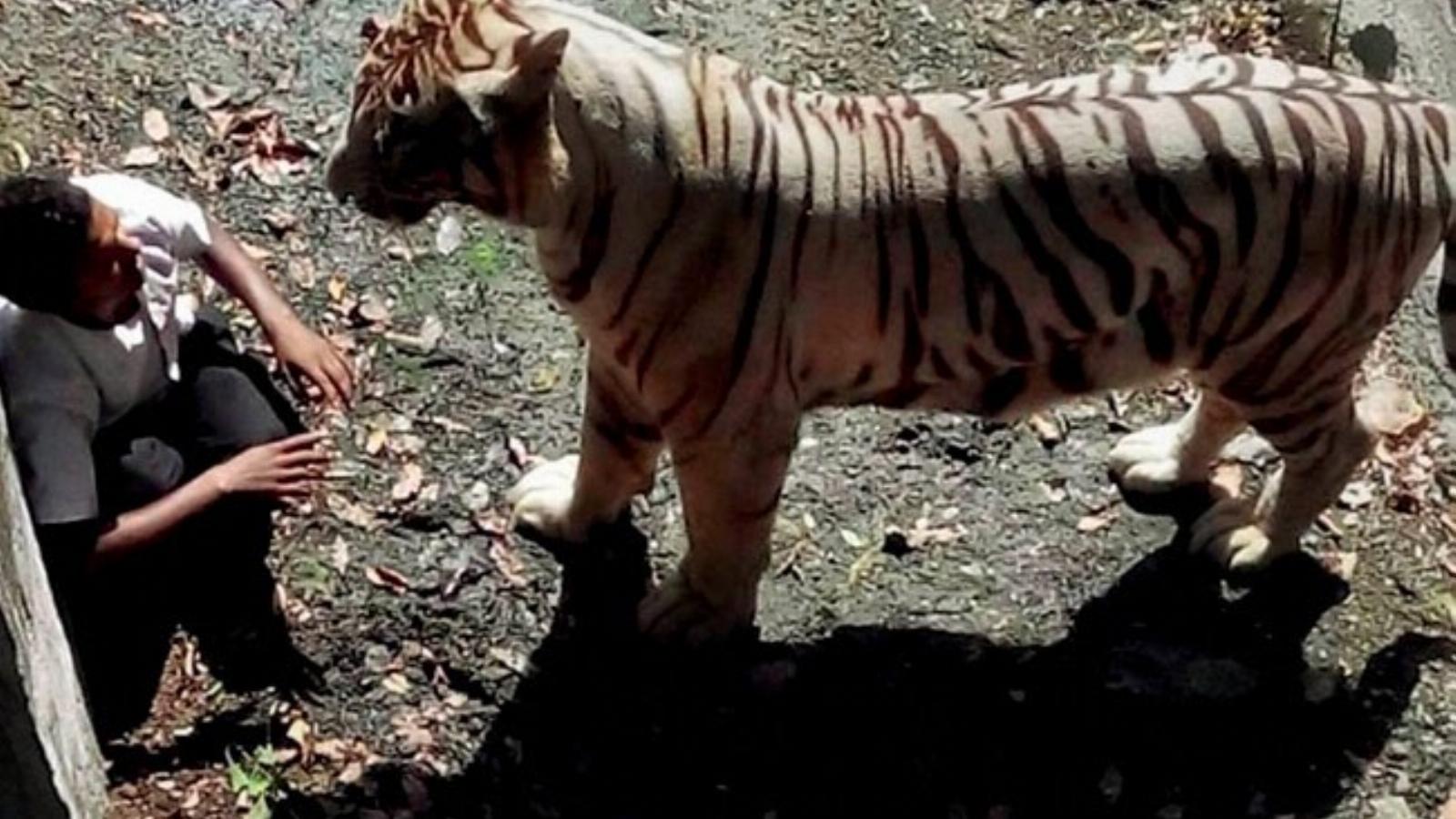 Foto: Indiatoday.com