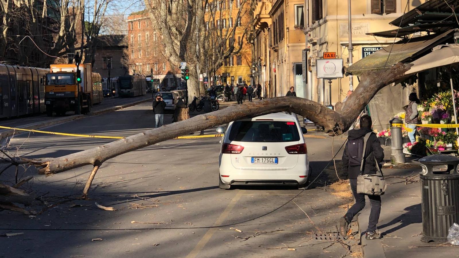 Autóra dőlt fa Rómában