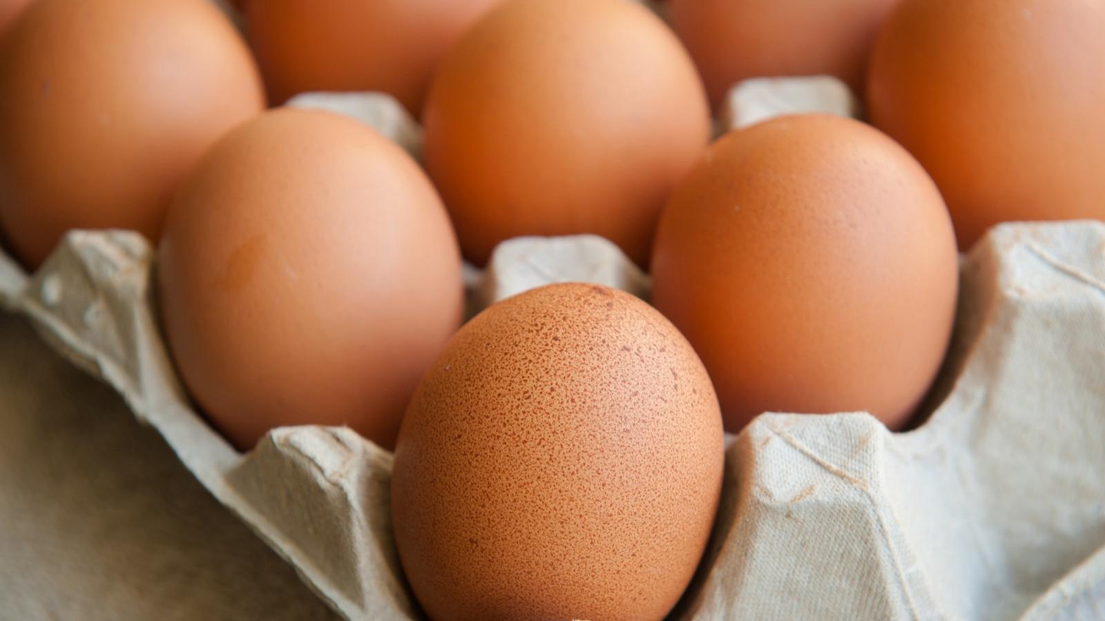 Illusztráció: Shutterstock